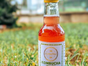 Kombucha Spécial Detox