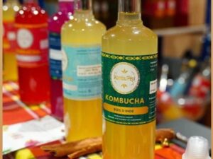 Kombucha Bois d'Inde